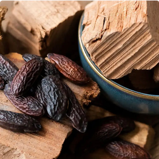 MOXY MUSE - MOXY DC HOTEL COLLECTION